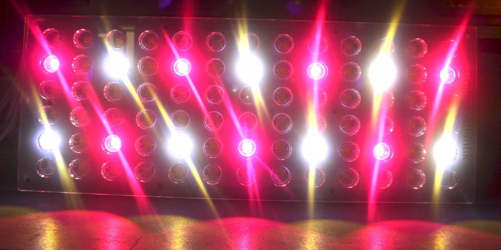 Orphek Atlantik V2.1 LED-verlichtingsarmatuur kanaal 4