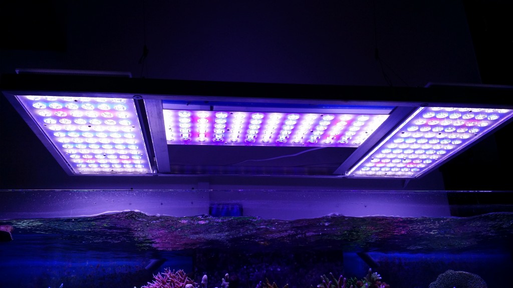 Orphek -LED-대서양