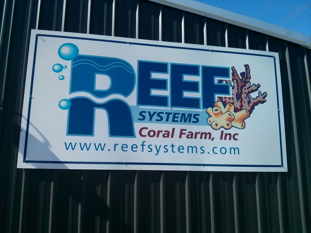 ריף _Systems _Coral _Farm