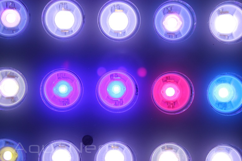Orphek-Atlantik-Compact-LEDs