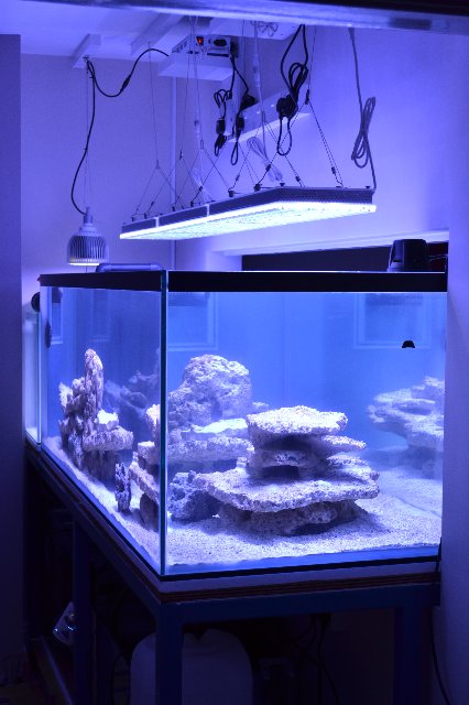 Éclairage LED pour aquarium • Éclairage LED pour aquarium Orphek Reef