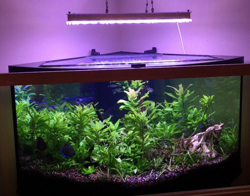 Best LED lighting for deep tank The Planted Tank Forum