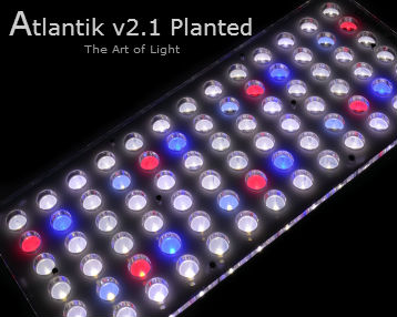 Orphek-Atlantik-v2.1-Plantada-Aquarium-LED de iluminação pública