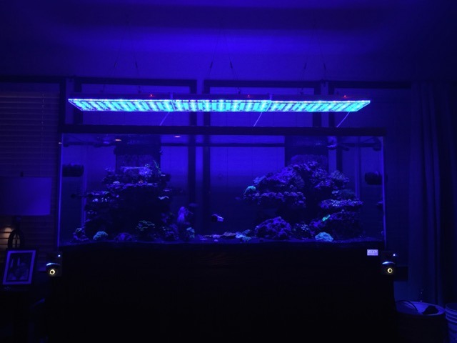 LED Aquarium Moonlight Night View • Orphek