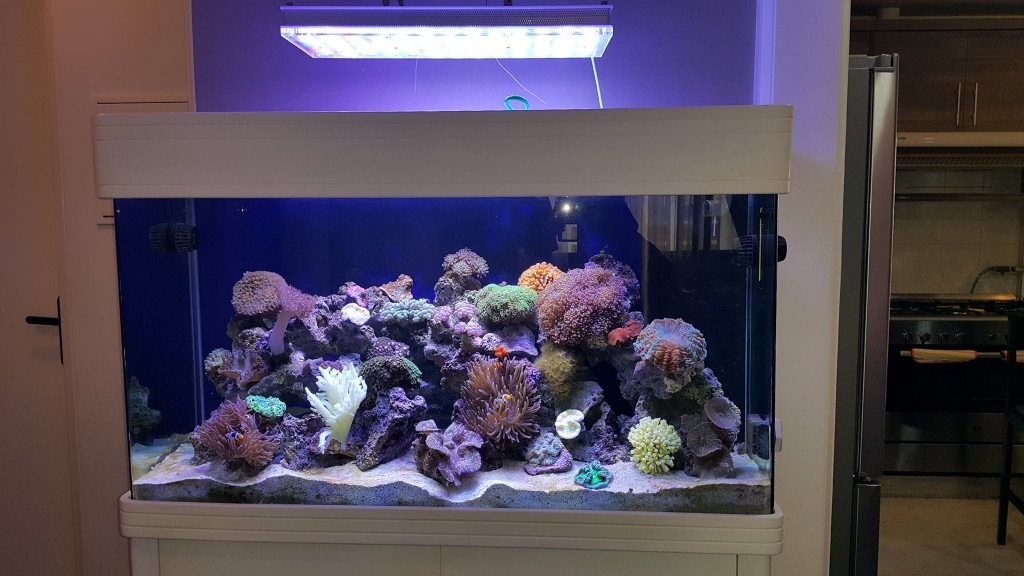 Teheran-LED-Aquarium-Light- orphek