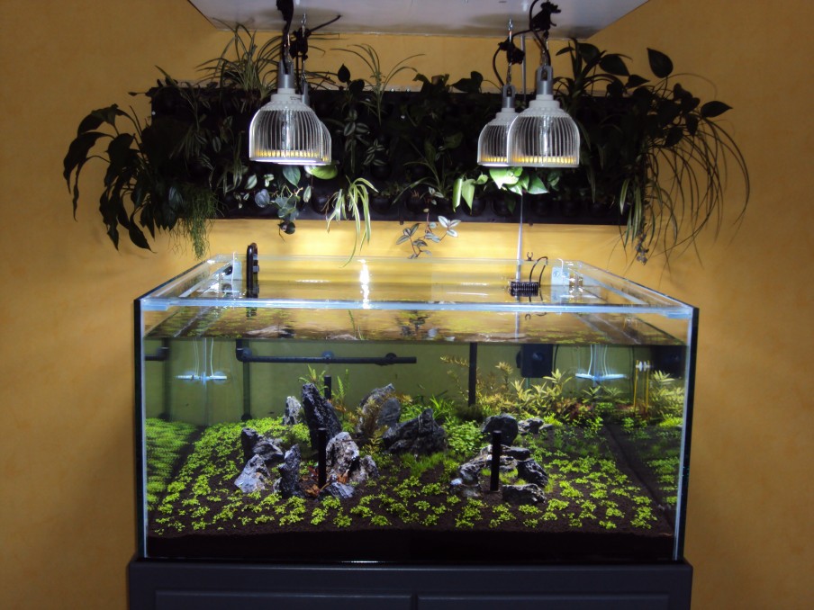 orphek-PR72-planted-tank-LED