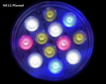 PAR38- LED geplant frashwater Akwarium