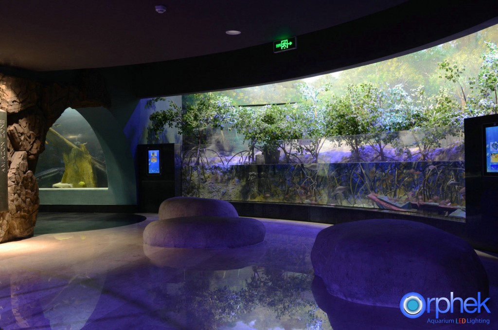 chengdu-public-aquarium-LED-lighting-amazon -zone-14