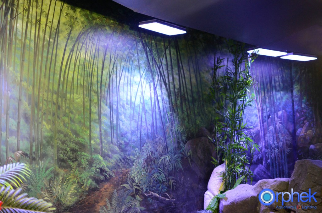 chengdu-public-aquarium-LED-lighting-china -zone-5