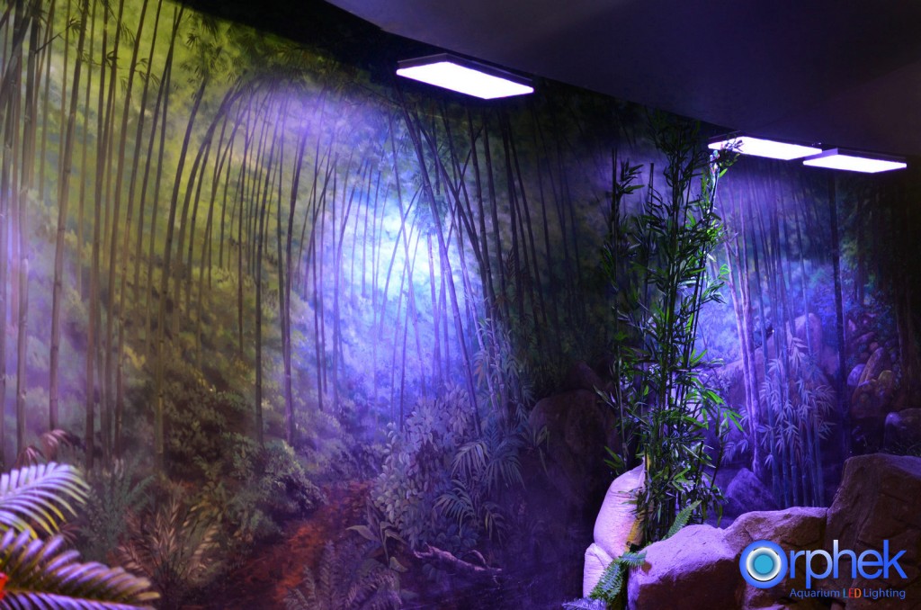 chengdu-public-aquarium-LED-lighting-orphek-china -zone-6