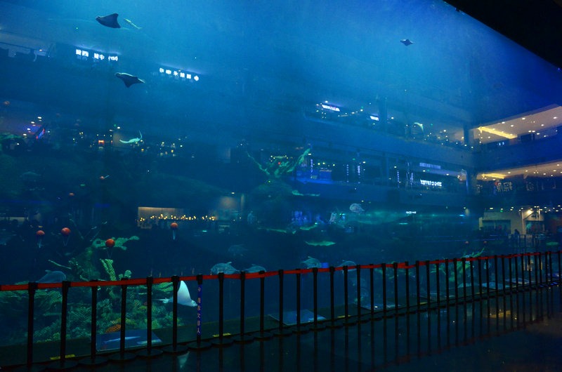 chengdu-public-aquarium-LED-lighting