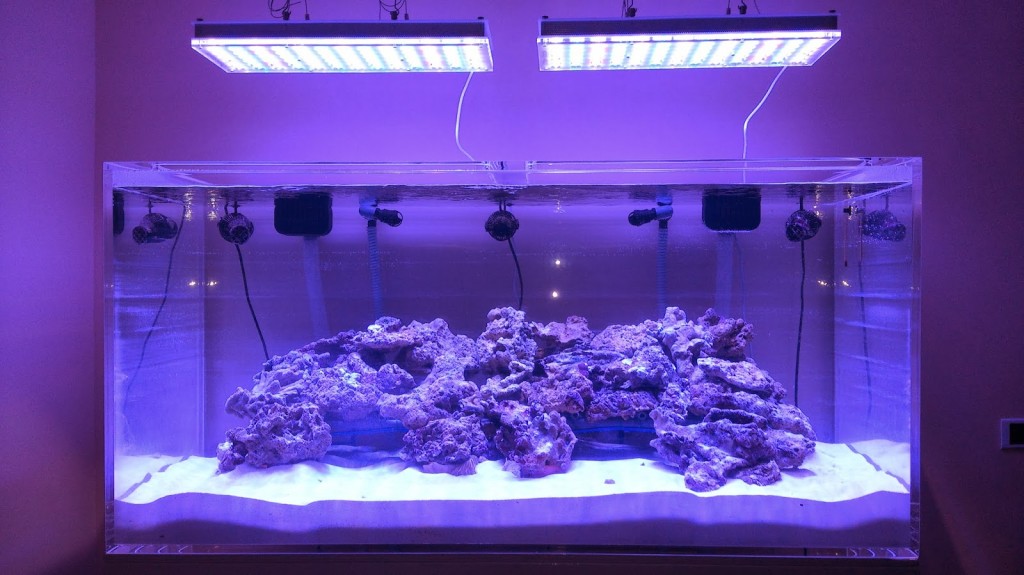 led-over-reef-tank