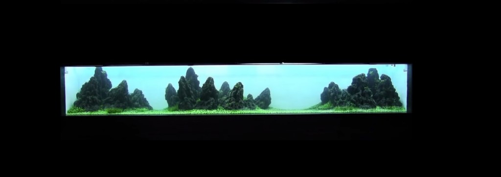 Takashi Amano- Planted Freshwater tank