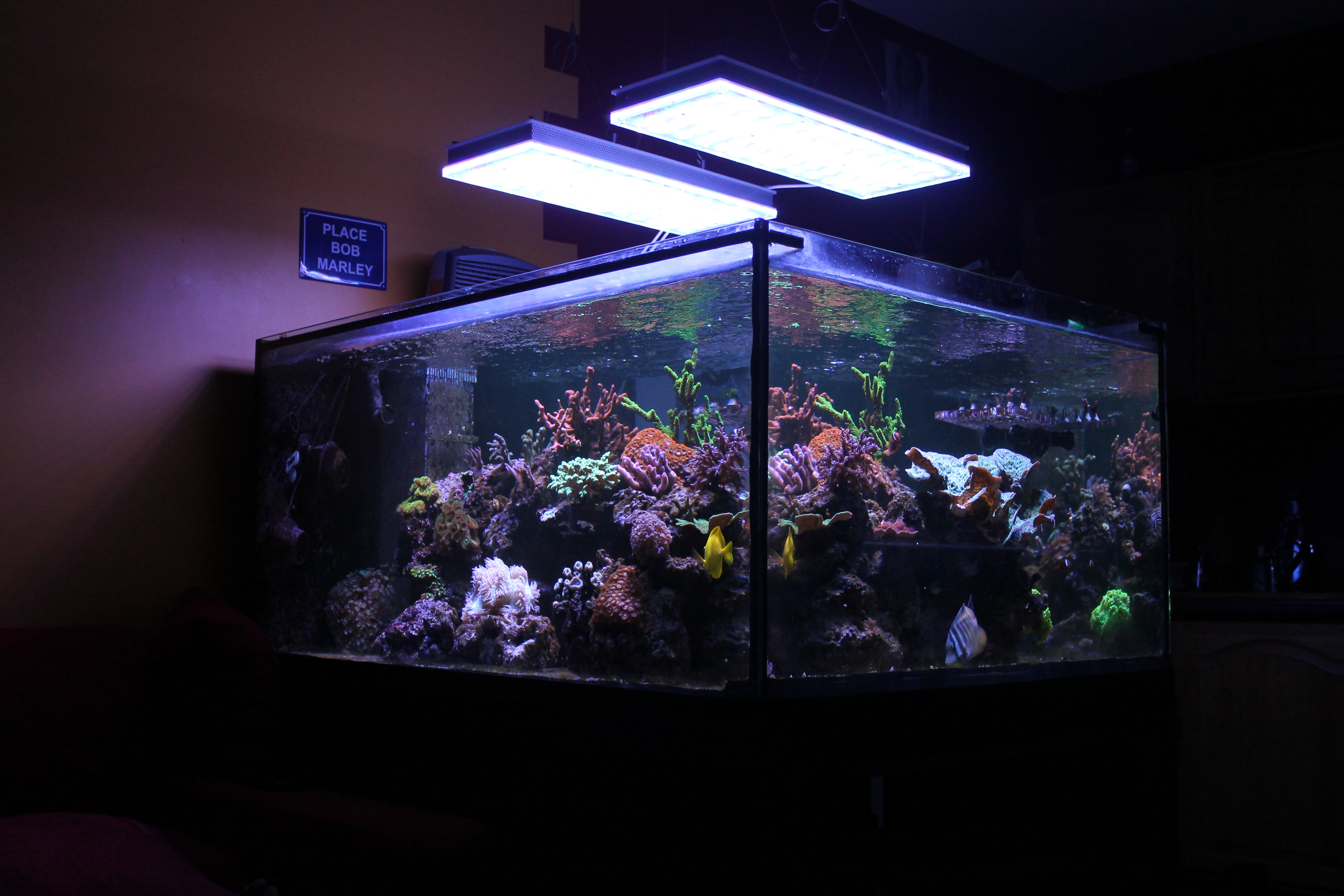 marine aquarium lights