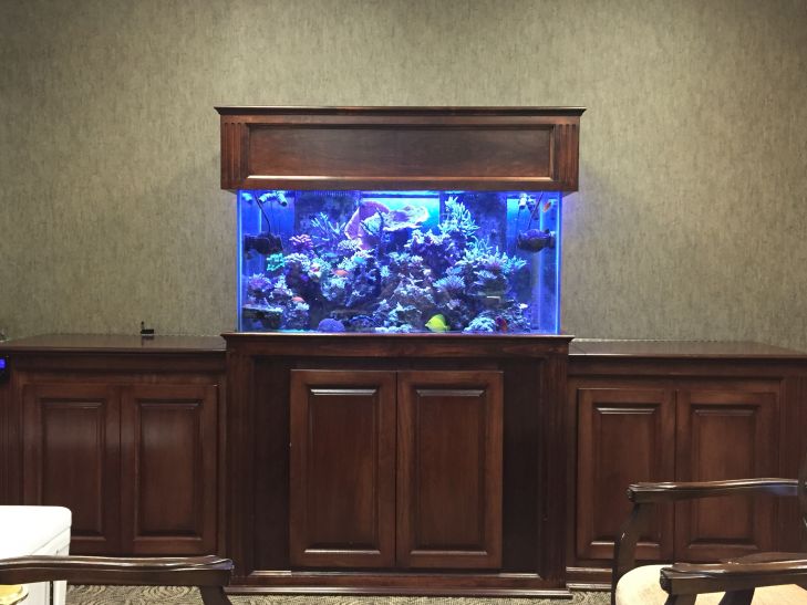 reef-aquarium-orphek-LED-light