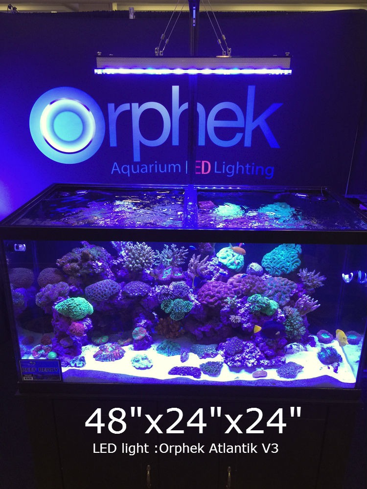 CYBER-MONDAY-aquarium-LED-verlichting