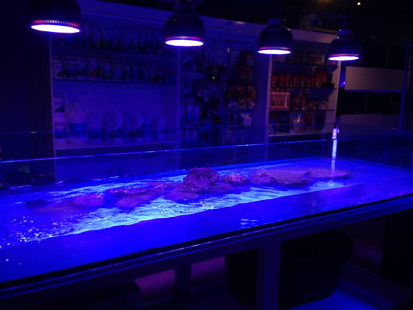 Led-акваріум світла