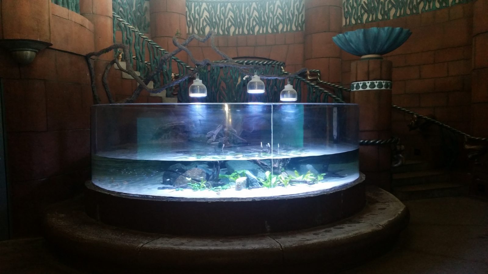freash  - 水 - 植え-水族館-LEDライト、Orphek