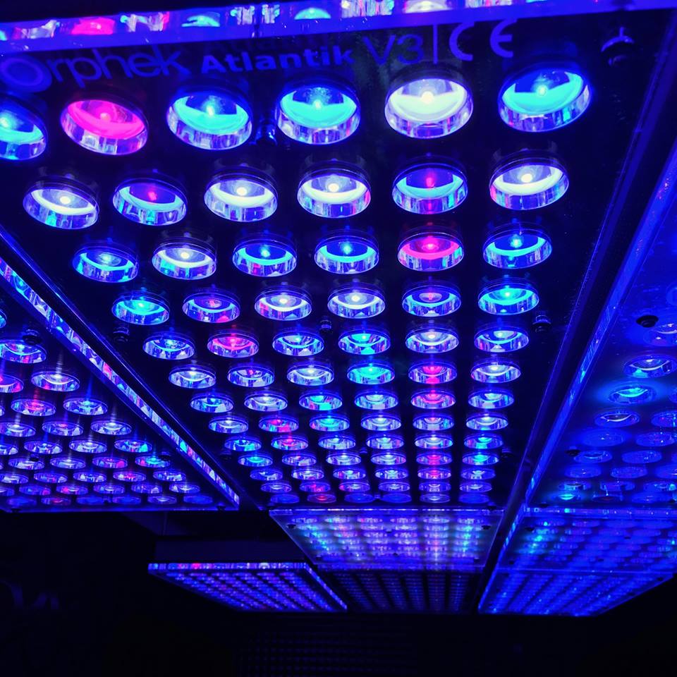 bedste LED belysning akvarium 2020