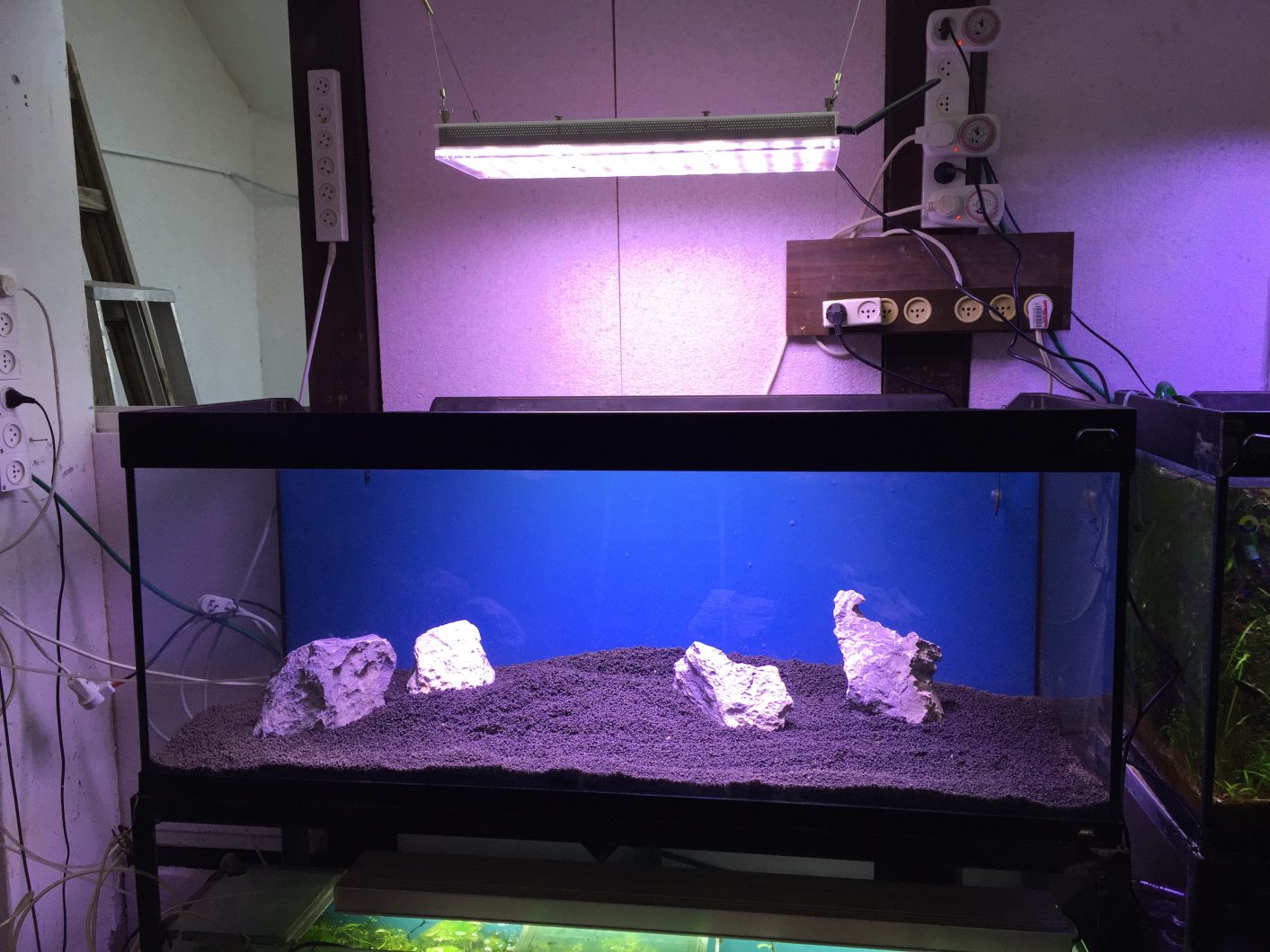 Orphek_Atlantik_v3instalation_light_on_over_aquarium