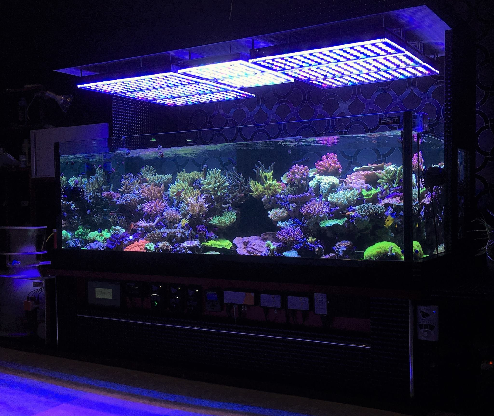 Nanfeng A1 Cyrex 2 in 1 Reef and Plant Aquarium LED Light With Articulating  Side Clusters