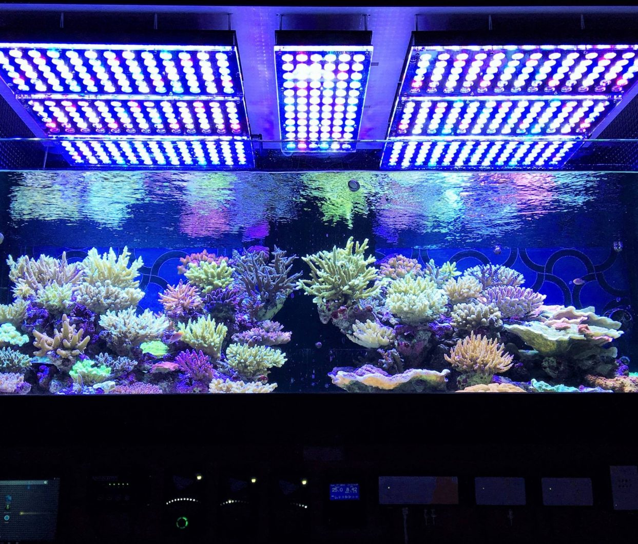 Orphek-atlantik-v3-plus-best-reef-light-coralv