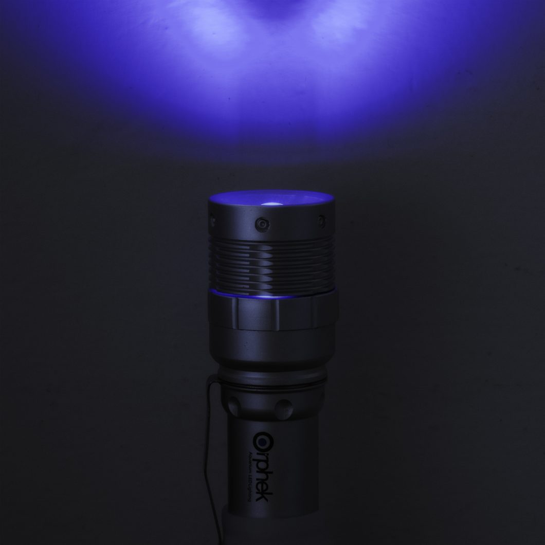 blue_led_-flashlight-_reef