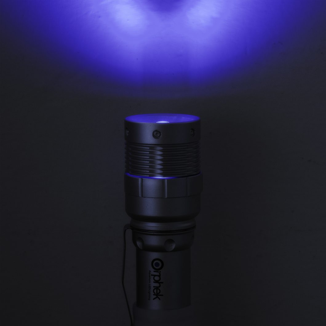 blue_led_-Taschenlampe-_reef