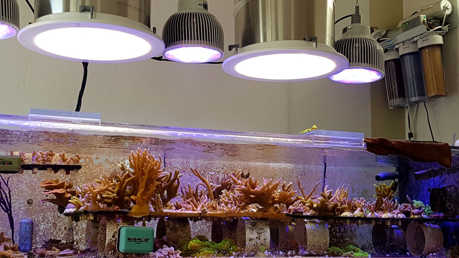 coral_farm_led_lighting