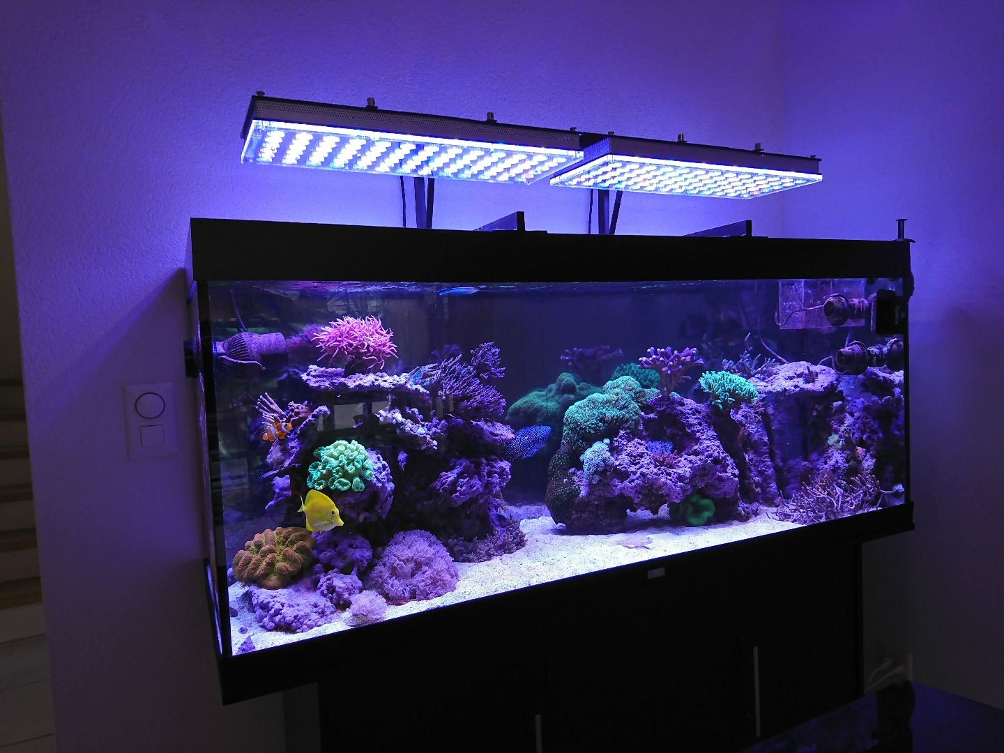 Lampe LED pour aquarium - Récif Orphek V3 - Bras de montage - Partie II •  Orphek