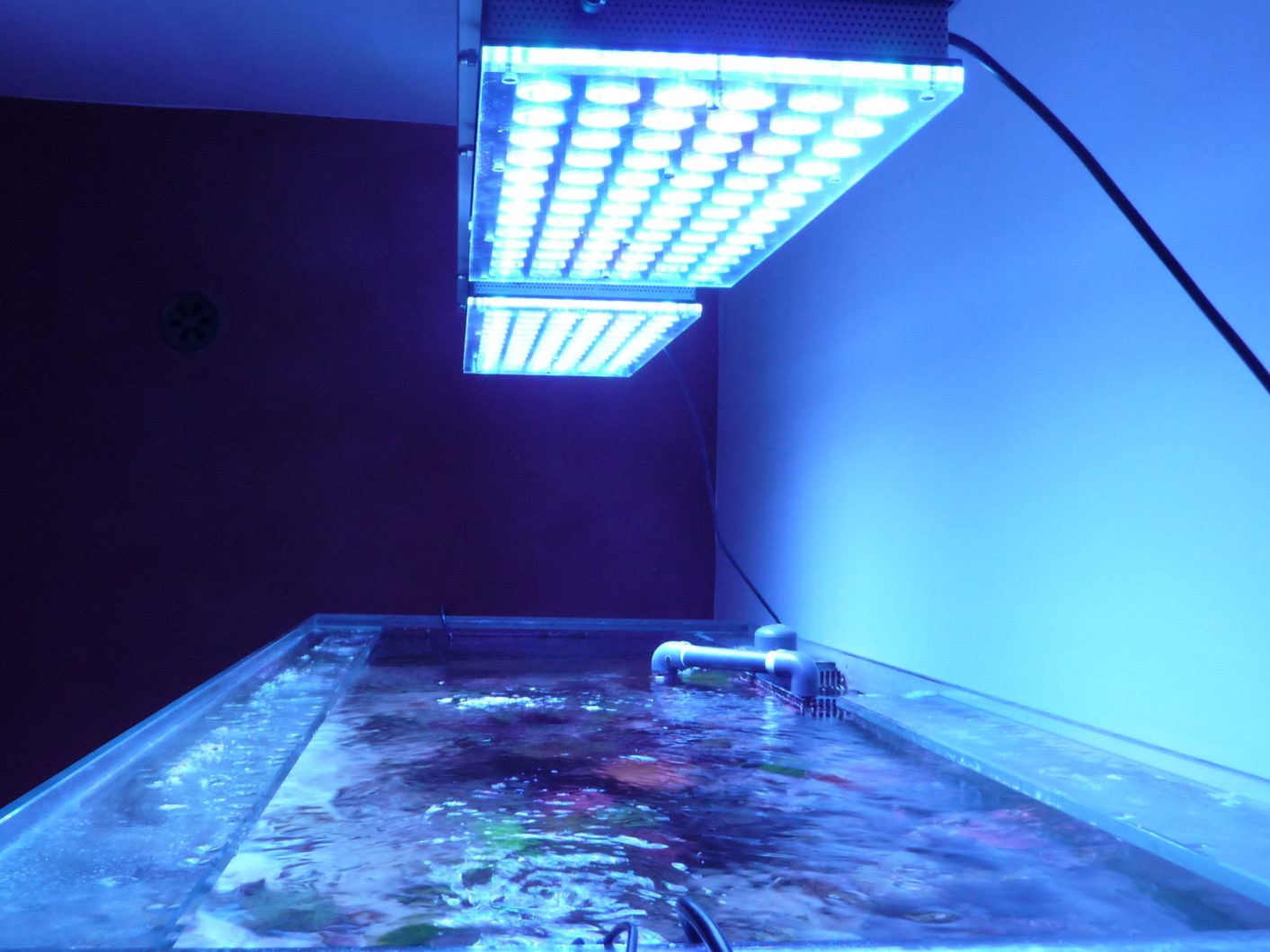 Orphek_atlantik_v4_led_lighting