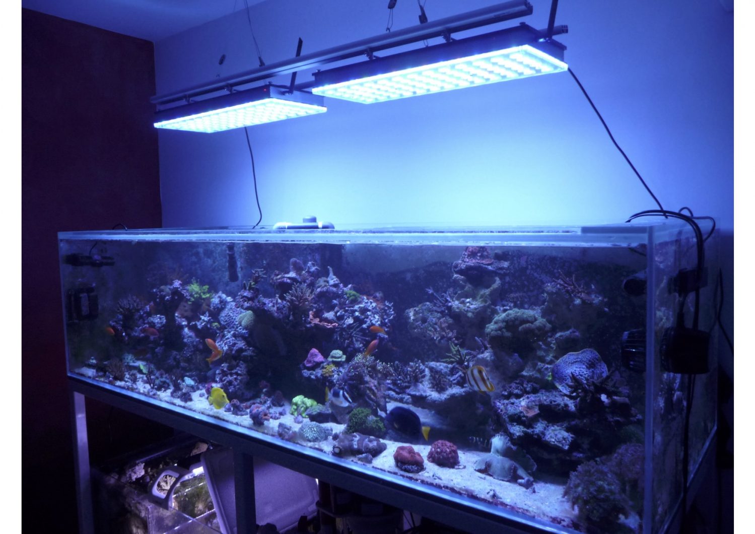 full_aquarium_photo_Atlantik_v4