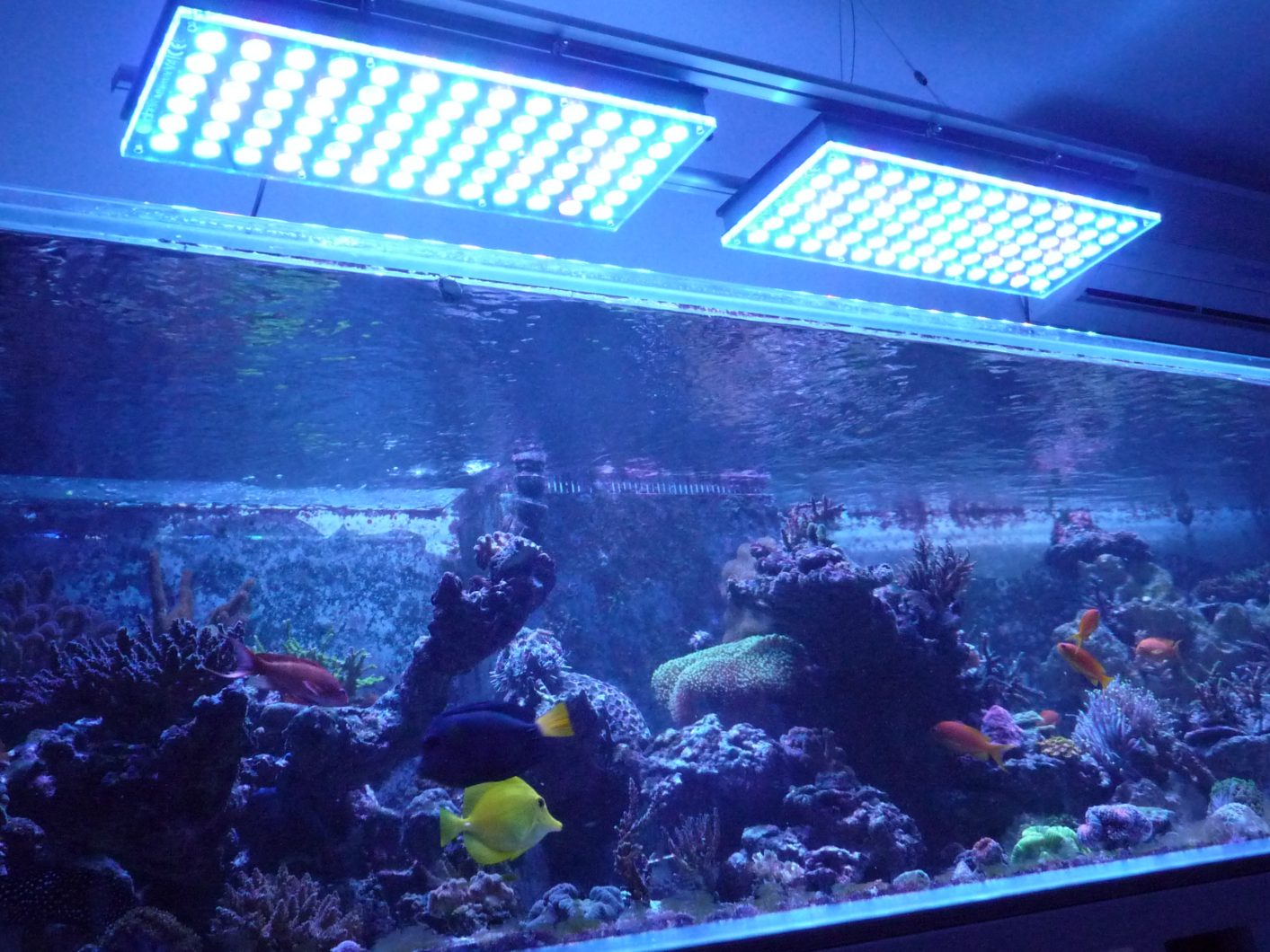 orphek_atlantik_v4_reef_aquarium_LED_lighting