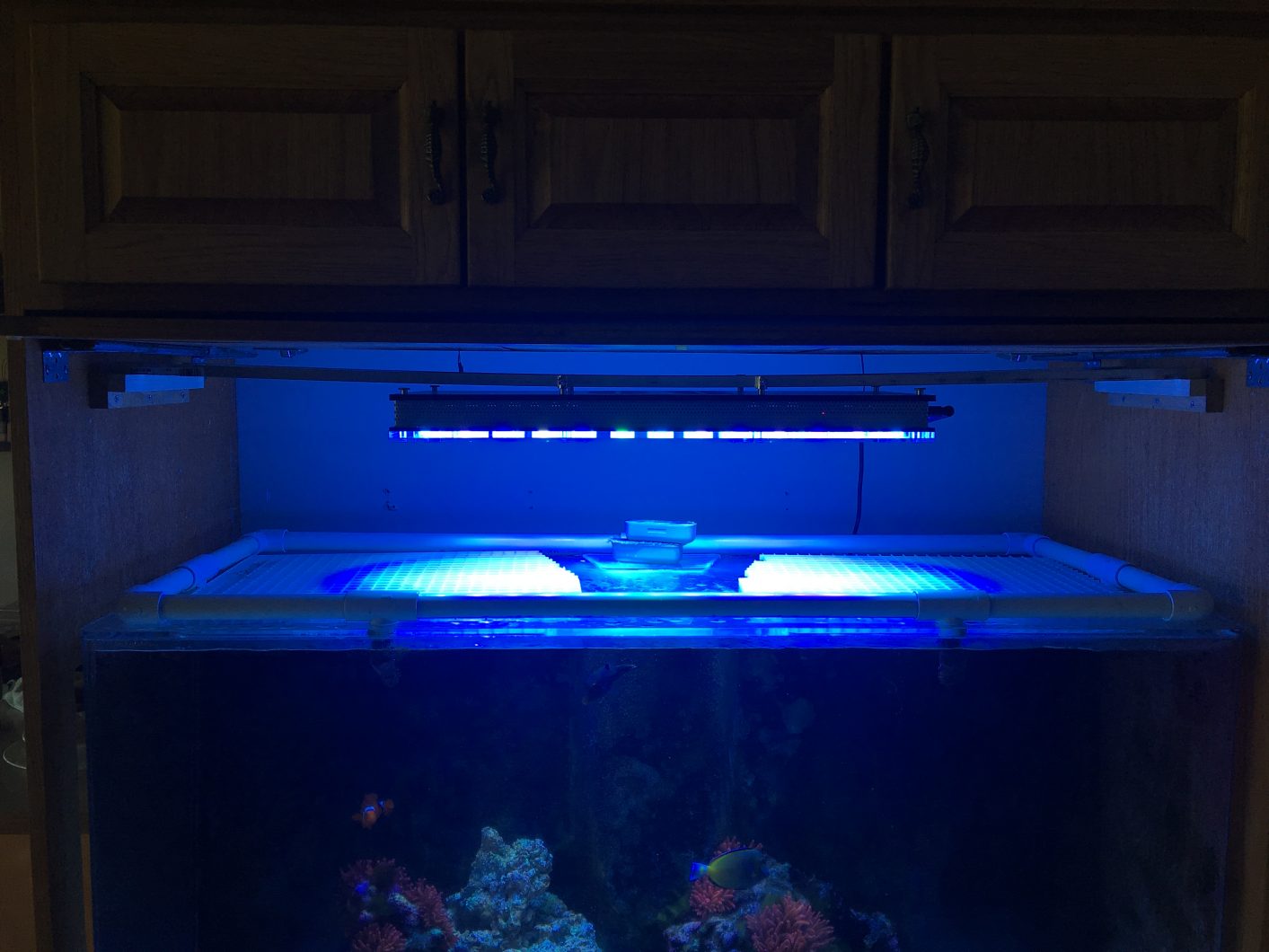 atlantik-v4-rev-akvarium-led-belysning