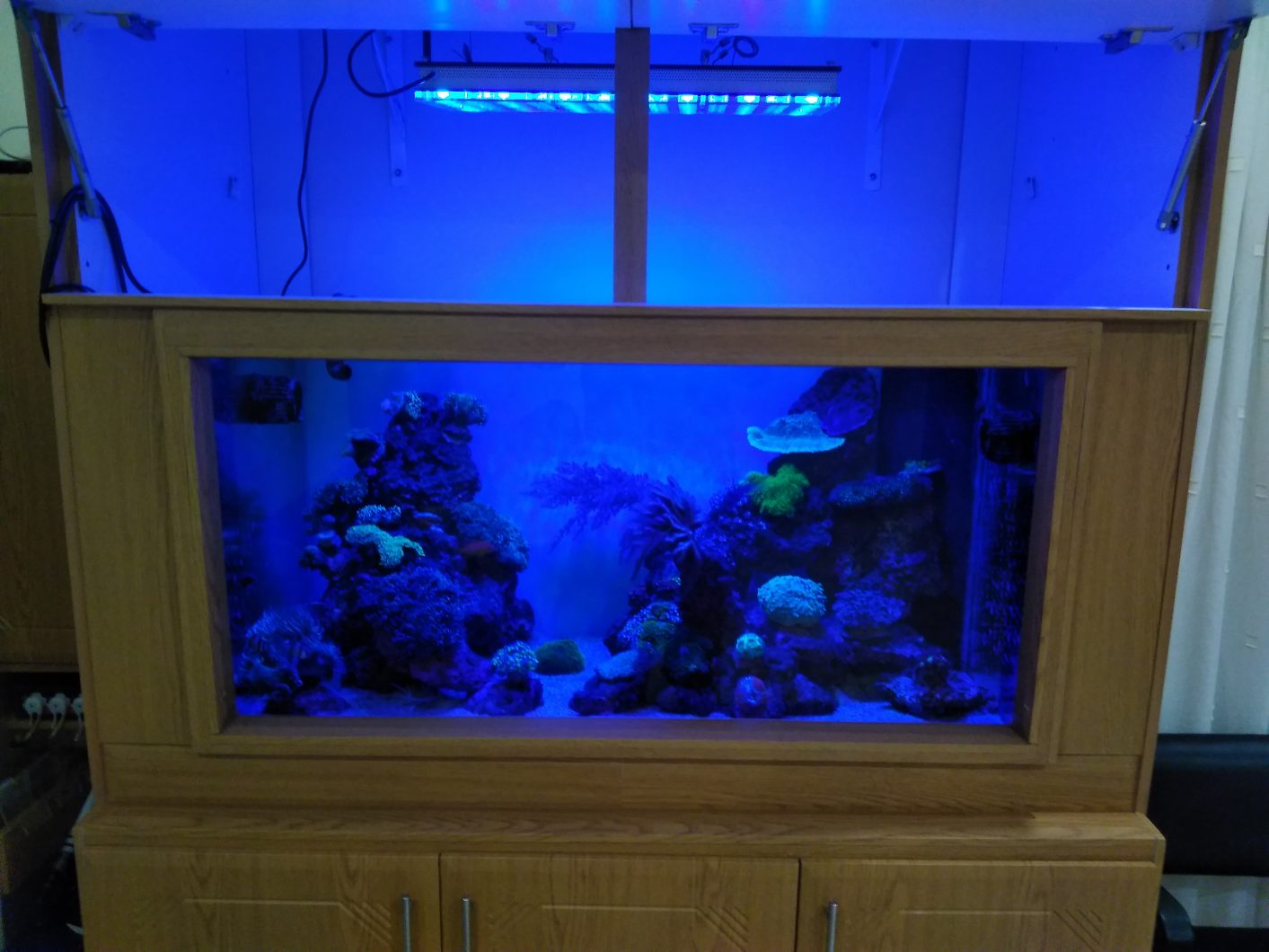 Atlantik v4 over tank in cabinet