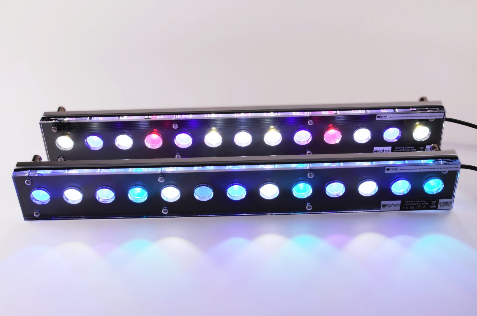 אקווריום-LED-Lighting- אטלנטיק שונית שתל