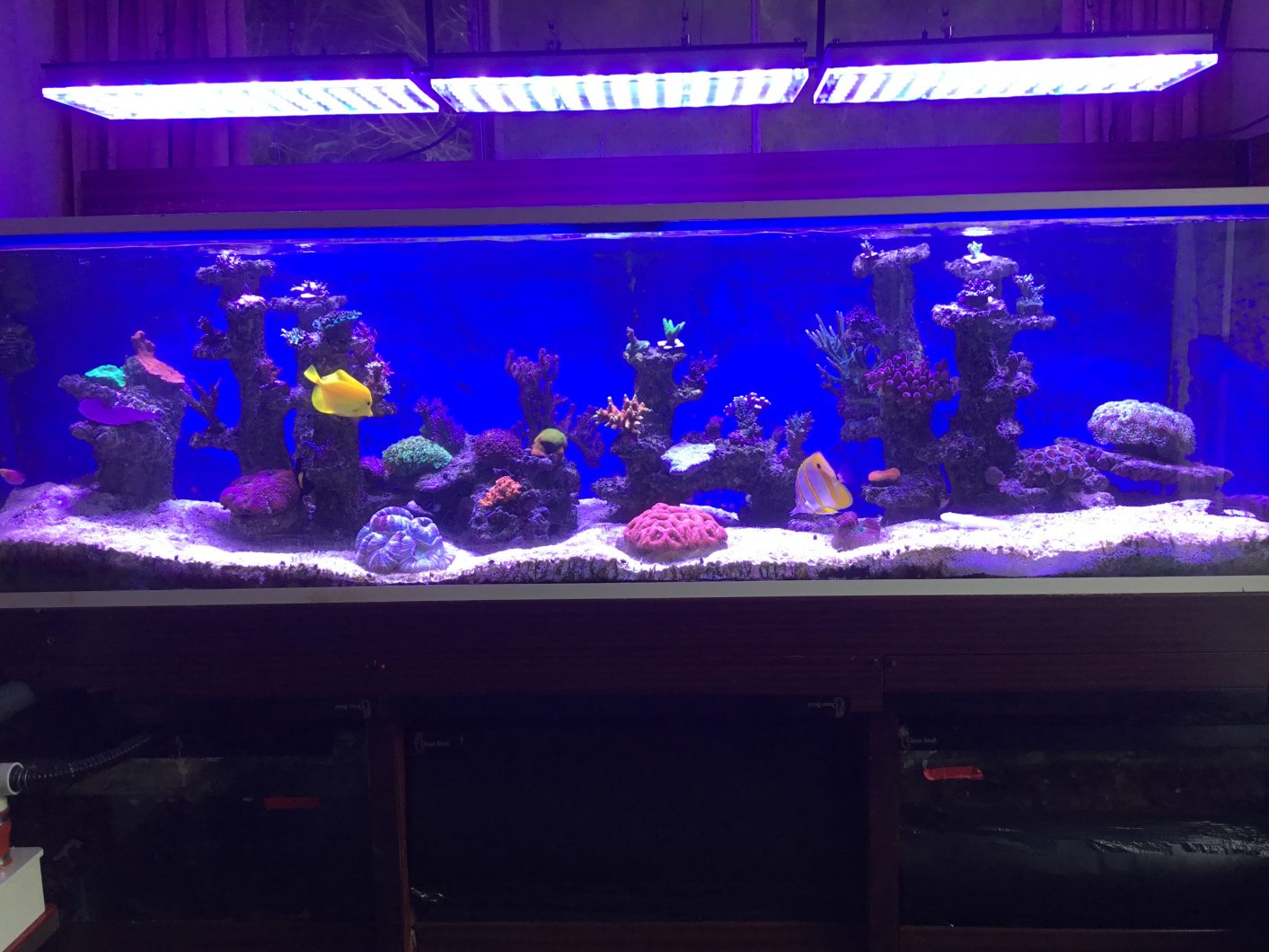 aquarium black light led