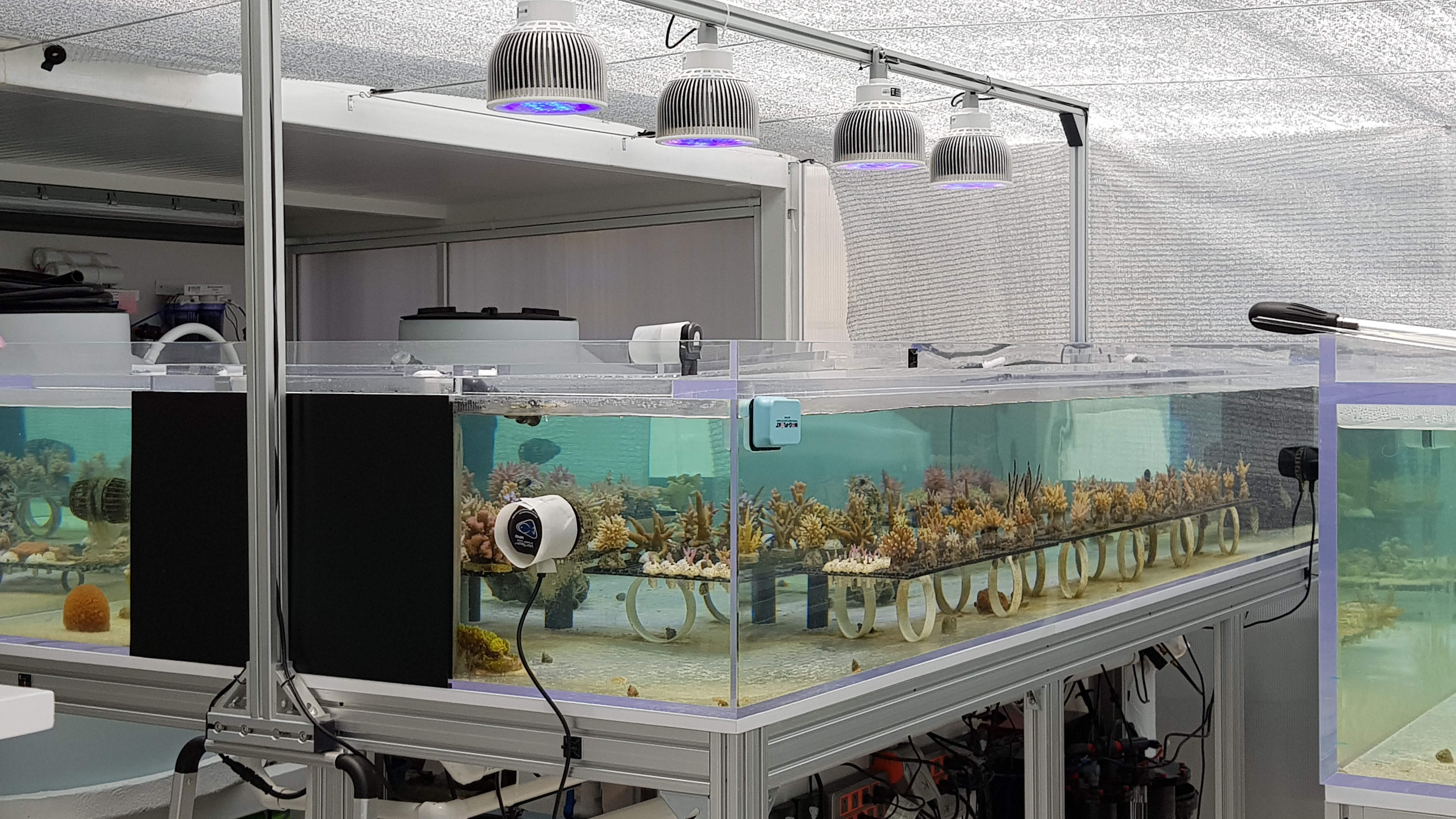 Определите какие организмы живут в аквариуме лабораторная. Рыборазводня аквариумных. Ильин аквариумное рыбоводство. Разводня аквариумных рыб. Разводня аквариумных растений.