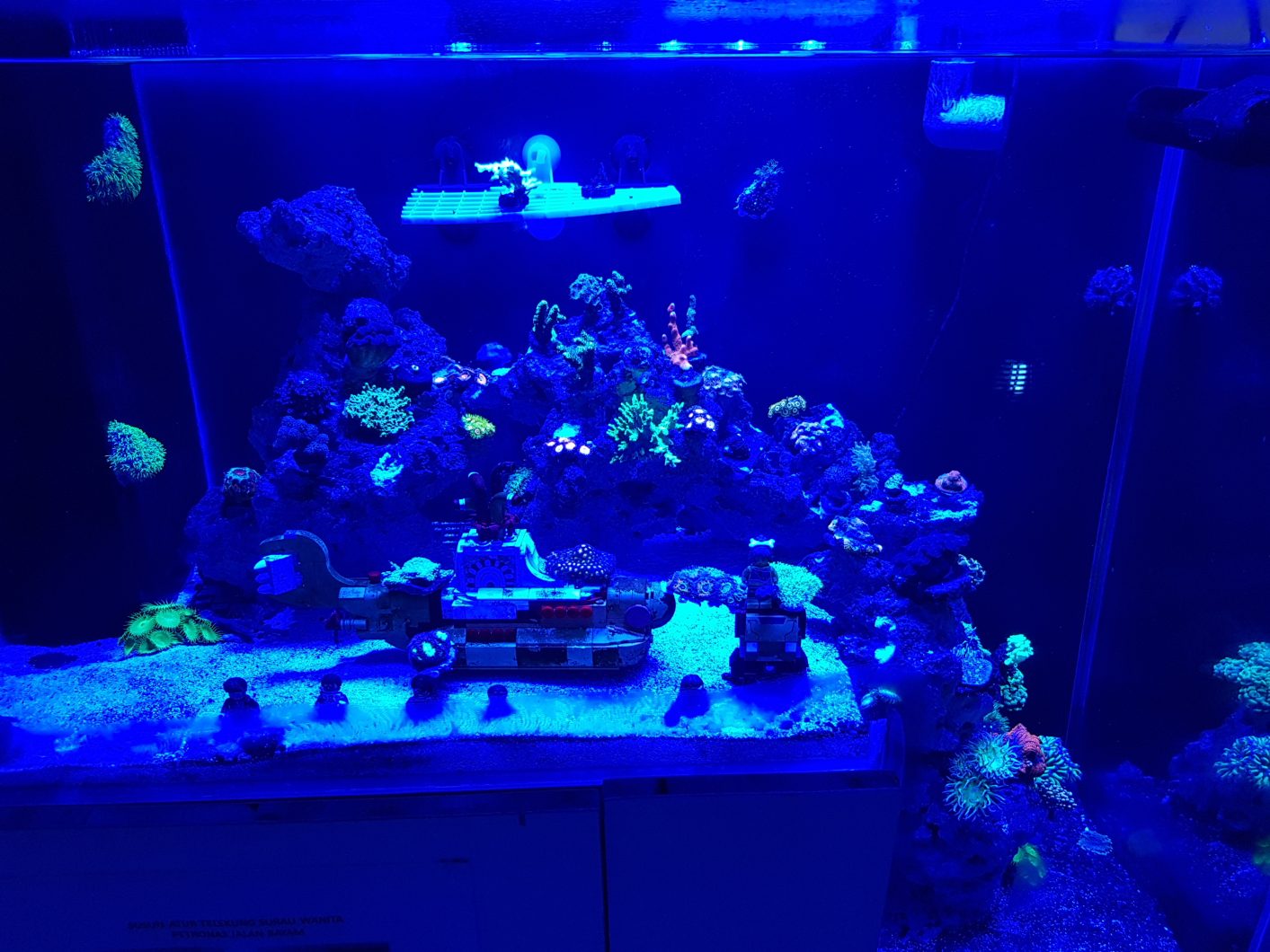 LED_aquarium_lights_orphek