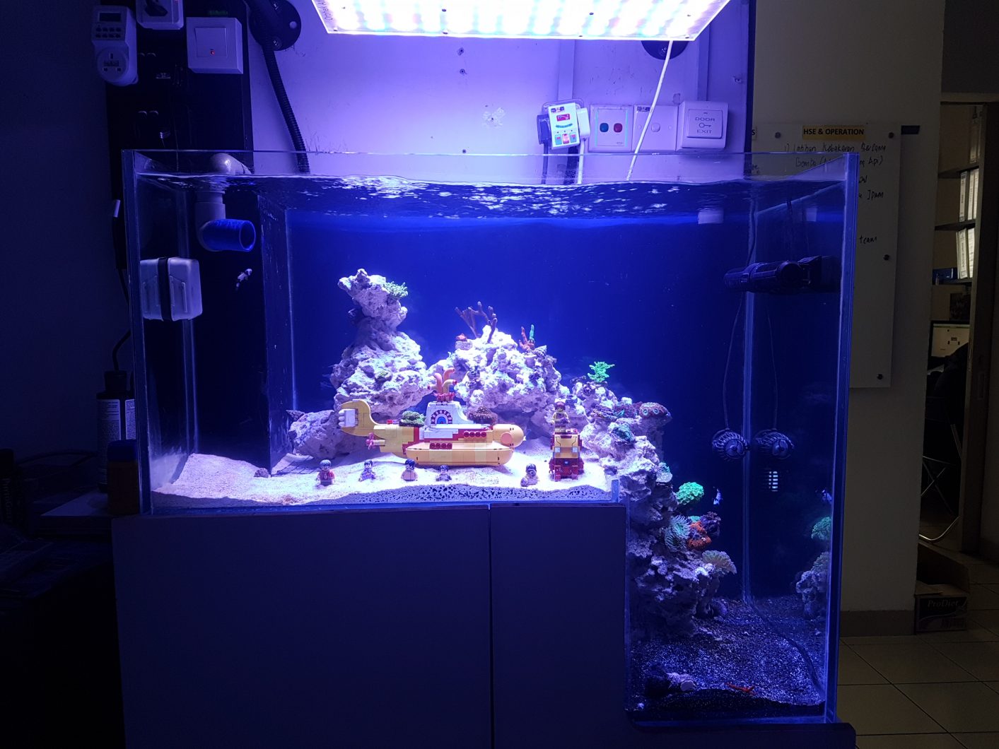 best_reef_led_ الإضاءة