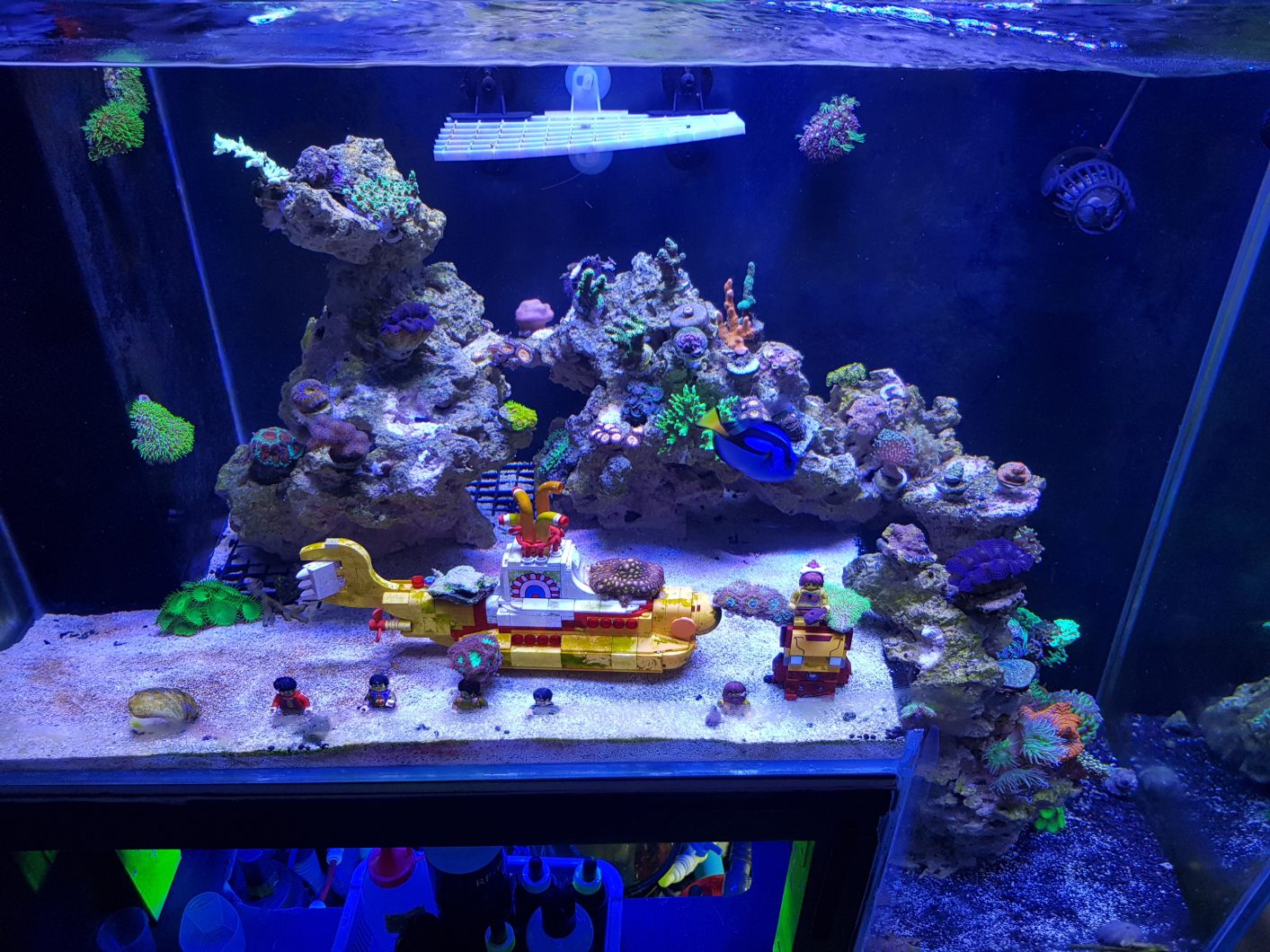 led_reef_aquarium_ lighting