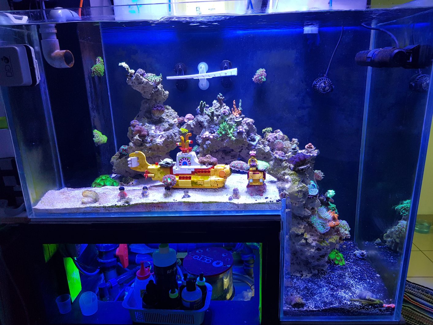 aquário de recife de aquário00070