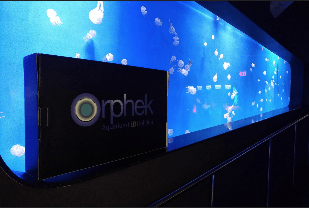 orphek-LED-méduse-public-aquarium
