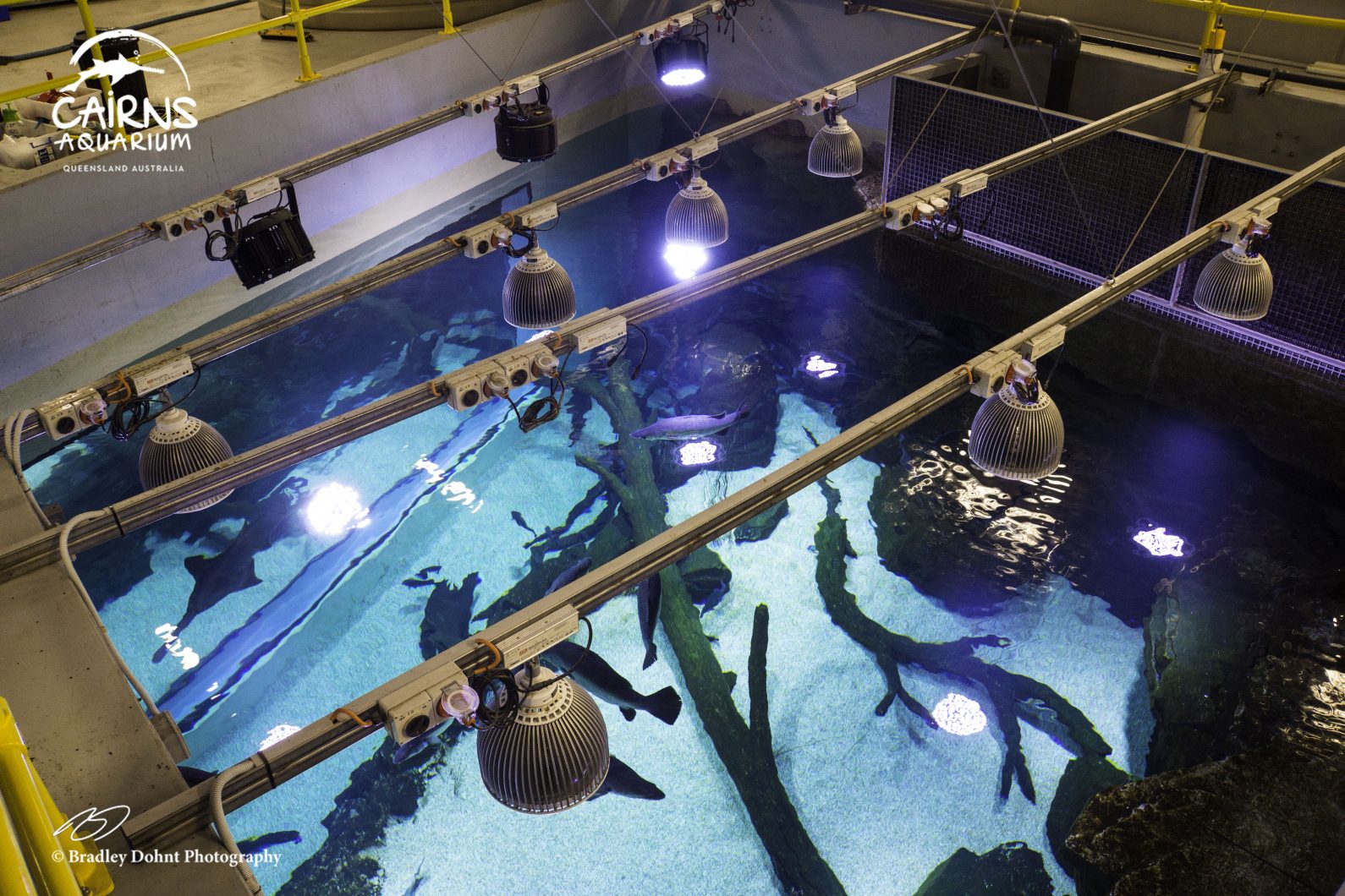 LED akvárium světlo orphek sladkovodní boh