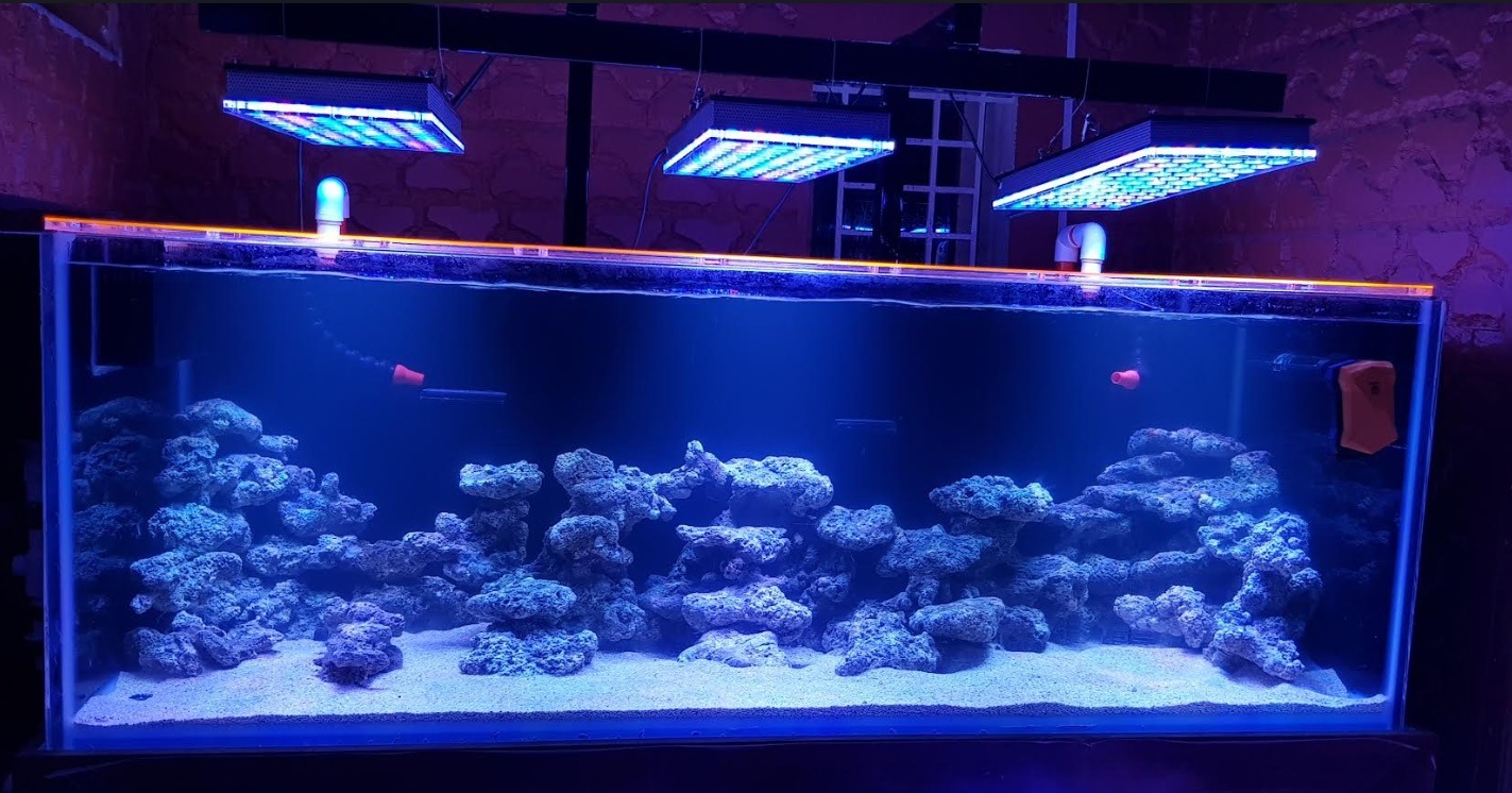 Saltwater store led lights