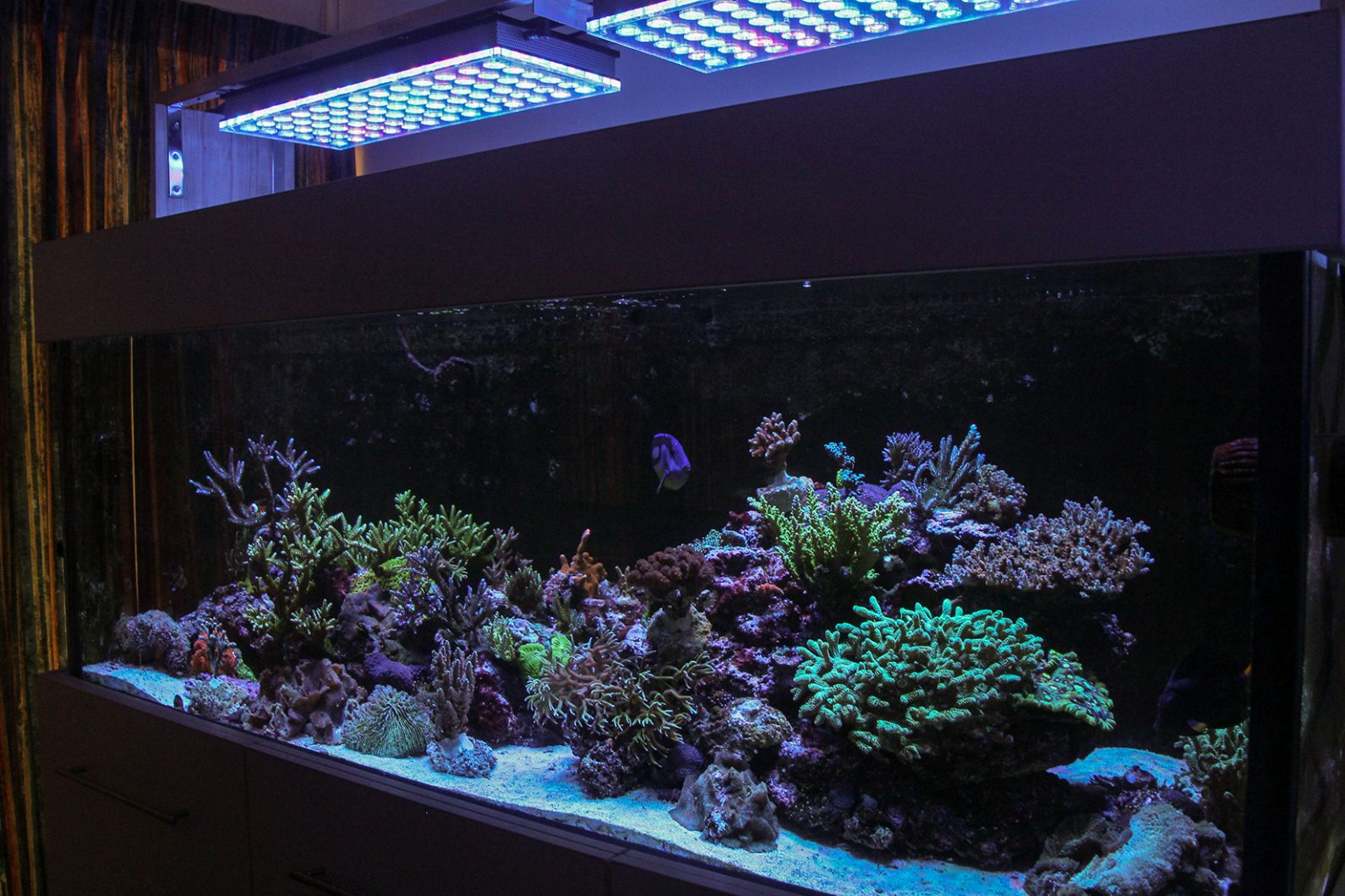 Full tank shot from right- orphek-atlantik