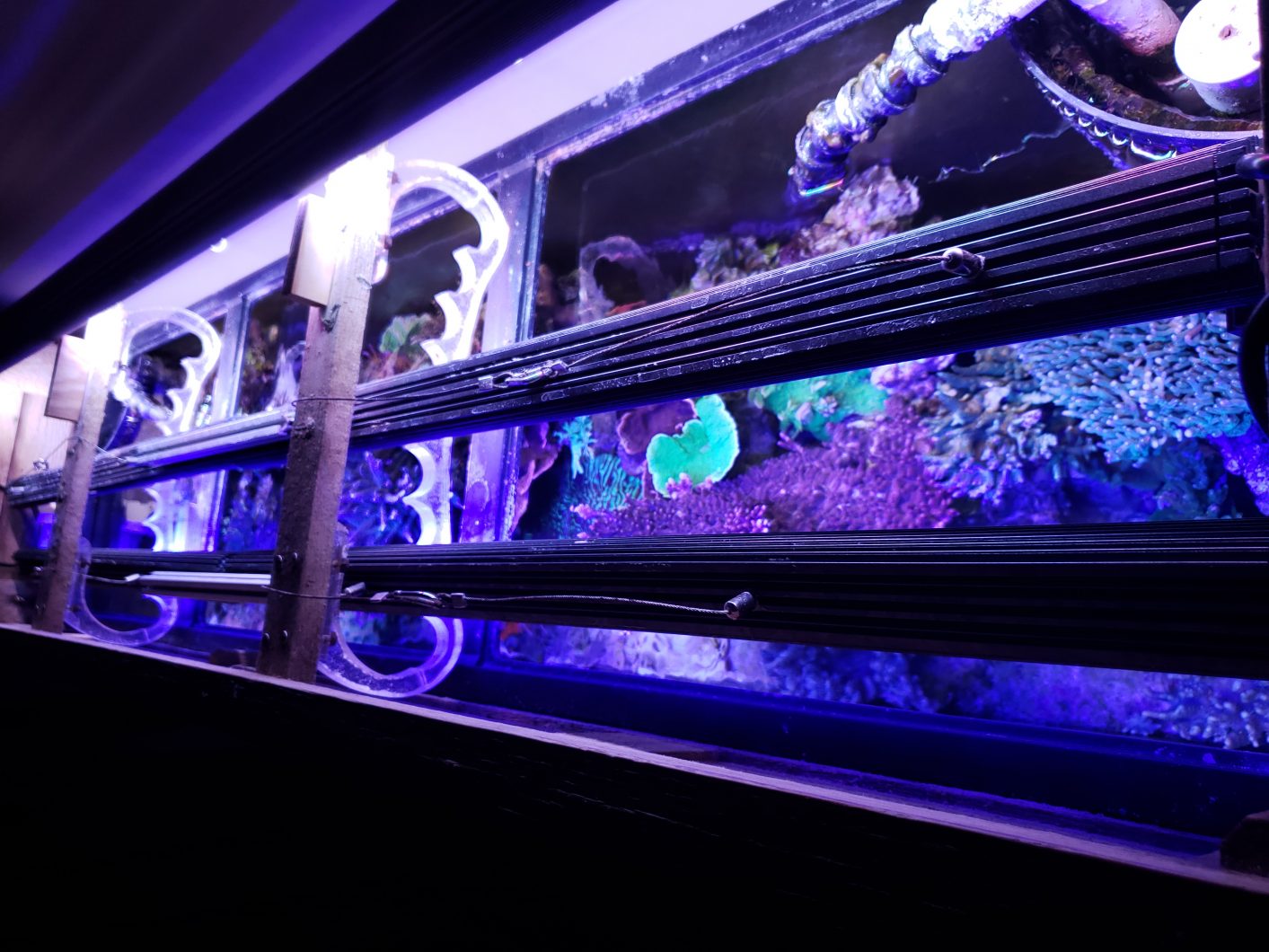Orphek-OU-Bar-LED-récif-aquarium