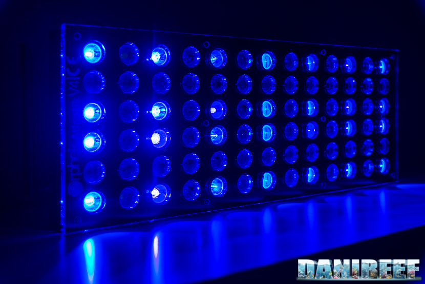 Blue LED Aquarium