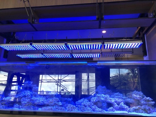 最高のサンゴ礁の水族館 -  LEDライト -  2019  -  Orphek  -  119