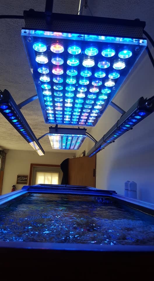 The-Best-Reef-Aquarium-LED-lights-2019-Orphek-130